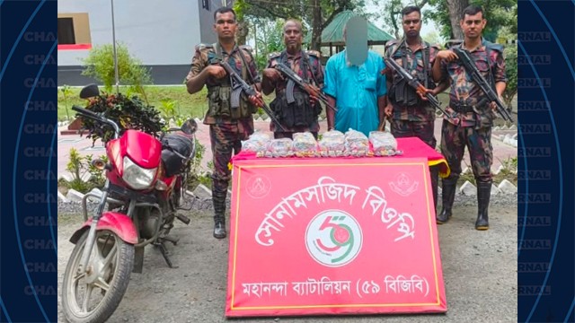 সীমান্তে ৫৯ বিজিবির অভিযানে ভারতীয় পাতার বিড়ি জব্দ, একজন আটক