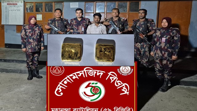 সোনামসজিদে বিজিবির অভিযান, পায়ুপথে স্বর্ণ পাচারকালে যুবক আটক