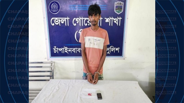 শিবগঞ্জে ডিবি পুলিশের অভিযানে ইয়াবাসহ যুবক গ্রেপ্তার