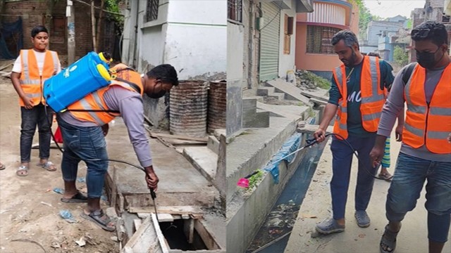 চাঁপাইনবাবগঞ্জে ১০ নম্বর ওয়ার্ডে মশক নিধন কর্মসূচির উদ্বোধন