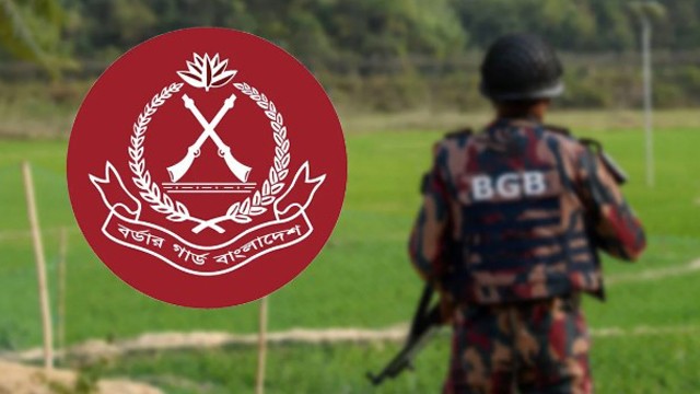 চোরাকারবারীদের ধাওয়া করতে চাঁপাইনবাবগঞ্জ সীমান্তে ফাঁকা গুলি, ১০ টি মহিষ জব্দ