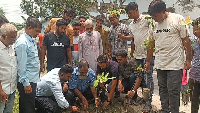 ডাশমারী হাই স্কুলে যুবদলের বৃক্ষরোপণ ও গাছ বিতরণ কর্মসূচি