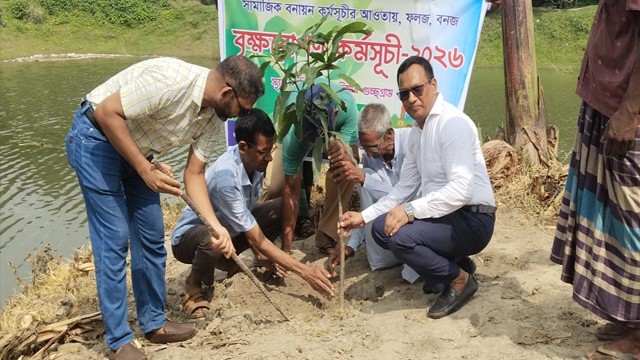 রানীহাটি পাড়দিয়ার গুচ্ছগ্রামে সামাজিক বনায়ন কর্মসূচির আওতায় বৃক্ষরোপণ