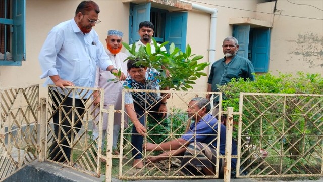 চাঁপাইনবাবগঞ্জ পৌরসভার ভবন চত্বরে বৃক্ষরোপণ কর্মসূচি