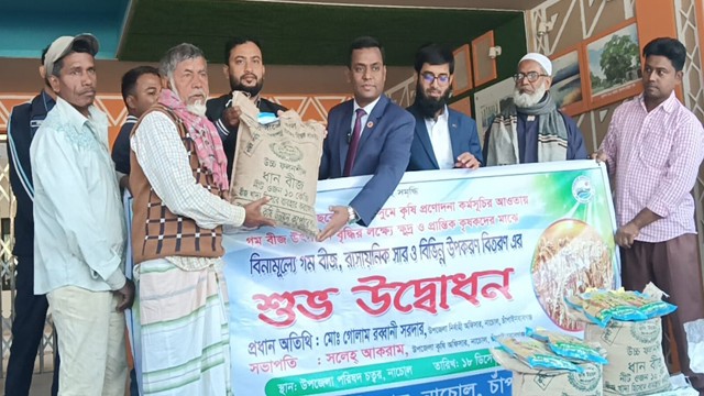 নাচোলে বিনামূল্যে উফসী, হাইব্রিড ধান বীজ ও রাসায়নিক সার বিতরন