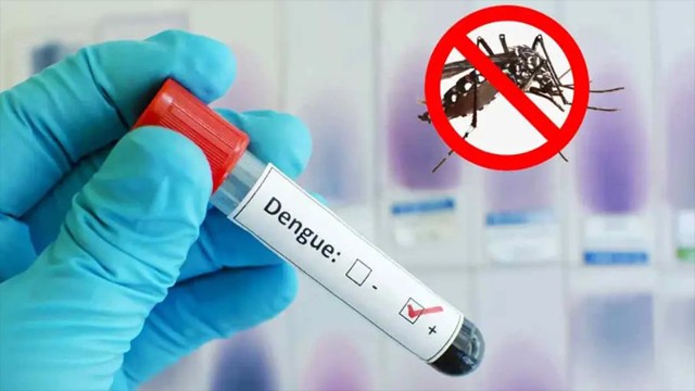 সারাদেশে ডেঙ্গুতে একদিনে ৫ জনের মৃত্যু, হাসপাতালে ৮৩৯