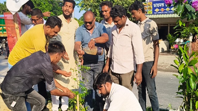 চাঁপাইনবাবগঞ্জে স্বেচ্ছাসেবক দলের বৃক্ষরোপণ কর্মসূচি