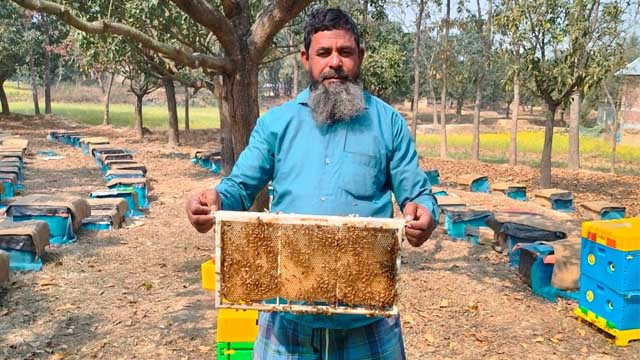 মৌচাষে গোমস্তাপুরের মনিরুলের বছরে লাভ ১০ লাখ টাকা