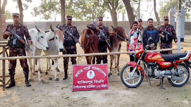 চাঁপাইনবাবগঞ্জ সীমান্তে গরু ও মোটরসাইকেলসহ দুইজন আটক
