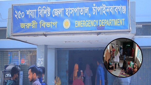 চাঁপাইনবাবগঞ্জে একদিনে ভর্তি ৫৪ জন, চিকিৎসাধীন ৫১