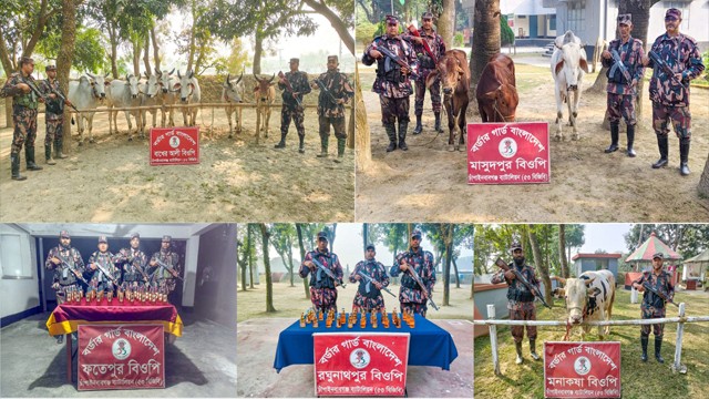 চাঁপাইনবাবগঞ্জ সীমান্তে মদ ও গরুসহ ২৩ লক্ষ টাকার চোরাচালান পণ্য জব্দ