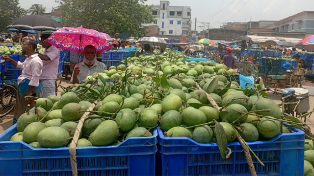 দাম বেড়েছে খিরসাপাত ও ল্যাংড়া জাত আমের