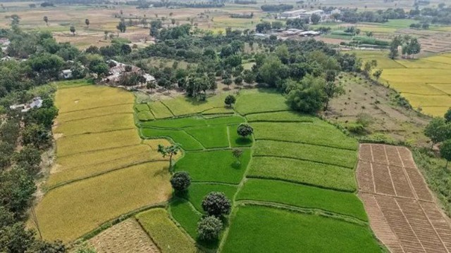জমির নামজারিতে নতুন যে পরিবর্তন এলো, আরো যা জেনে রাখতে পারেন