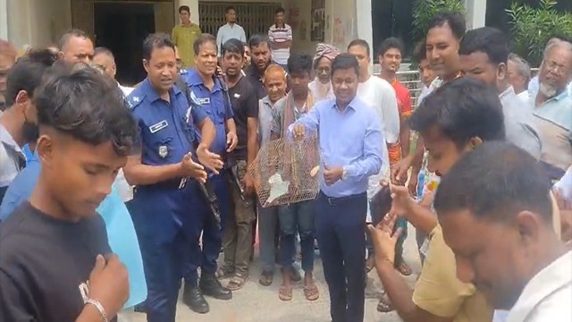 শিবগঞ্জে পাখি শিকারীকে জরিমানা, উদ্ধারকৃত টিয়াপাখি অবমুক্ত করলেন ইউএনও