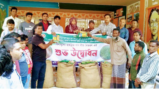 নাচোলে বিনামূল্যে কৃষকদের মাঝে হাইব্রীড ধানবীজ বিতরণ