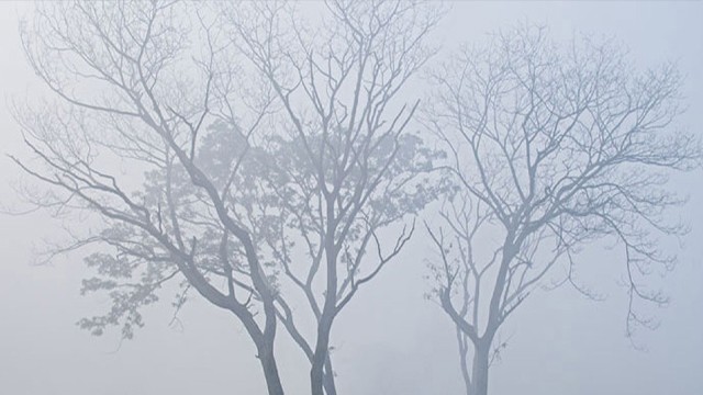 ২৪ জেলায় শৈত্যপ্রবাহ, অব্যাহত থাকার আভাস