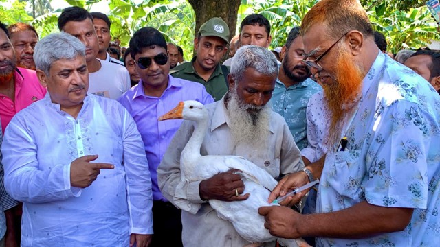 পবায় ফ্রি টিকায় সুরক্ষিত হচ্ছে ৮৩ হাজার গবাদিপশু ও হাঁস-মুরগি, স্বস্তিতে প্রান্তিক খামারিরা