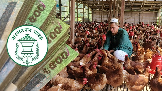 তরুণ উদ্যোক্তাদের জন্য ২০ লাখ টাকা জামানতবিহীন ঋণ, পাবেন যারা